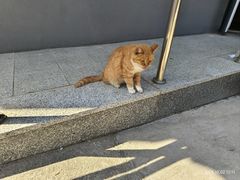 -北京上方山国家森林公园