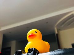 -GIANT捷安特自行车专卖店(金桥台儿庄路店)