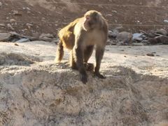 -石家庄市动物园