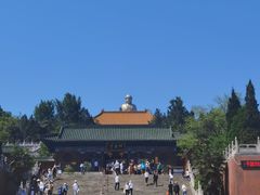-中原大佛景区