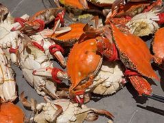 -一方渔歌蒸汽海鲜自助(文化路万达广场店)