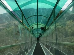 -灵栖洞天