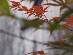 -前童古镇