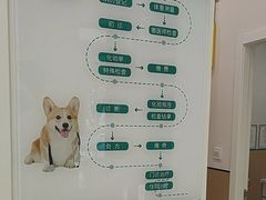 -瑞派康怡24h宠物医院·犬猫医疗中心·微创绝育(瑞景分院)