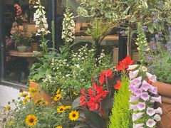 -自由生长植物工作室(深港花卉中心店)