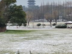 -宜兴龙背山森林公园