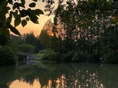 -桤木河湿地公园