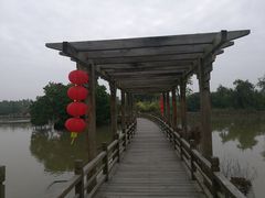 -大湾区中央湿地公园