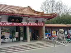 门面-西苑公园