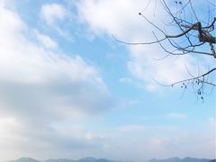 -湖畔居茶楼(湖滨店)