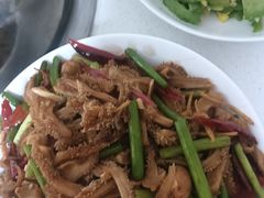 -天鹅到家·保姆月嫂育儿嫂(总店)
