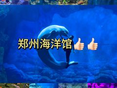 -郑州海洋馆