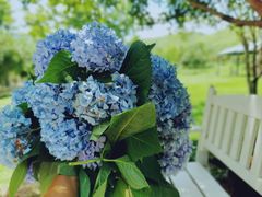 -杭州六谷生态休闲农庄有限公司