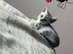 -美联众合24小时·皮肤科·外科·全科诊疗中心(华苑分院)