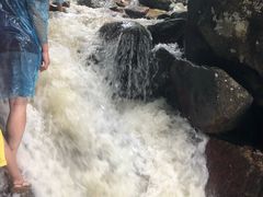 -呀诺达热带雨林