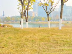 -桂溪生态公园