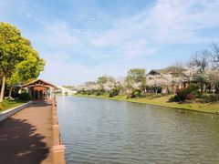 -上海海湾国家森林公园