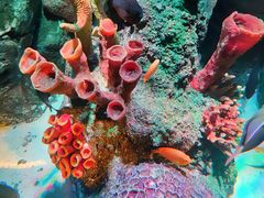 -沈阳海洋探索中心