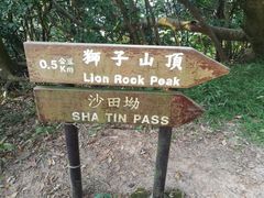 -狮子山郊野公园