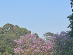 -百林公园-两江幸福广场