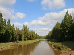 -黄海国家森林公园