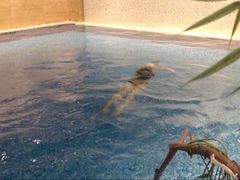 -斯博特游泳俱乐部(永安里店)