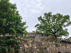 -蛇蟠岛