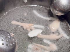 -同仁四季椰子鸡(福田东园总店)