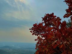 -北京十三陵国家森林公园蟒山景区