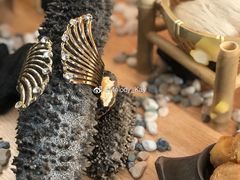 -喜上喜鸡煲翅(吉大店)