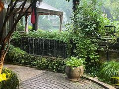 -野蔓果·山野菜(西湖景区·龙井茶田店)