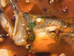 -羊门客在·烤盐池滩羊·川菜