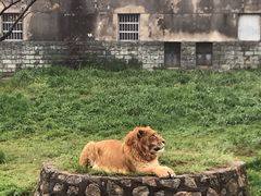 -西安秦岭野生动物园