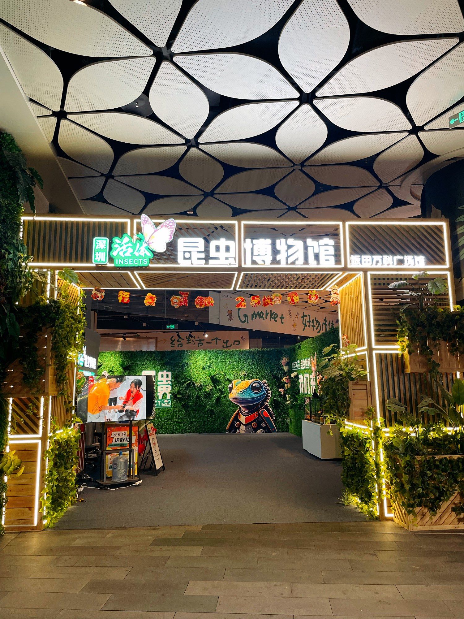 没想到昆虫博物馆这么有意思