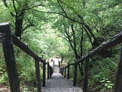-茅兰沟国家森林公园