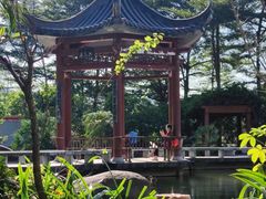 -广州神农草堂中医药博物馆