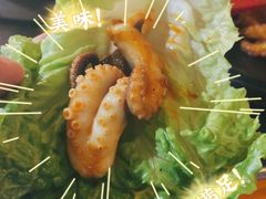 -红辣椒八爪鱼特色韩国料理