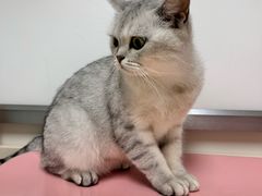 -宠颐生中康贝怡动物医院