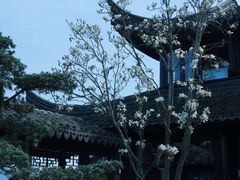 -东钱湖小普陀景区