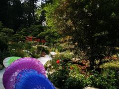 -人民公园(罗湖区)