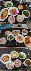 -臻康乃馨月子中心(凯宾斯基店)