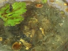 -桂萍特色牛筋牛杂(长堤街总店)