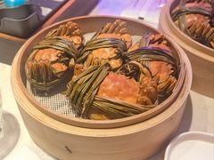 -杨氏青龙虾·羊蝎子(托乐嘉店)
