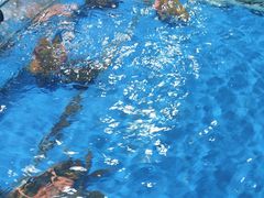 -不将就渔鲜码头(川沙店)