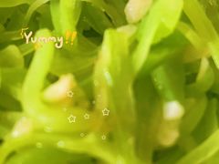 -明日星月嫂服务中心