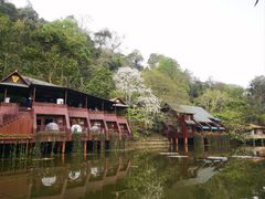 -野象谷景区