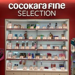 点击看大图 -cocokarafine可开嘉来