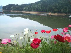 -龙川湾千岛湖国际垂钓中心
