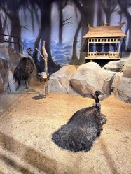 -酷嗒动物文化乐园(cutezoo西溪乐天城店)