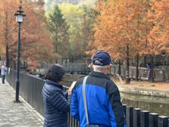 -白水寺森林公园